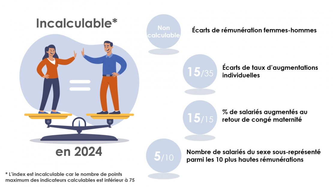 index égalité femme homme scaime